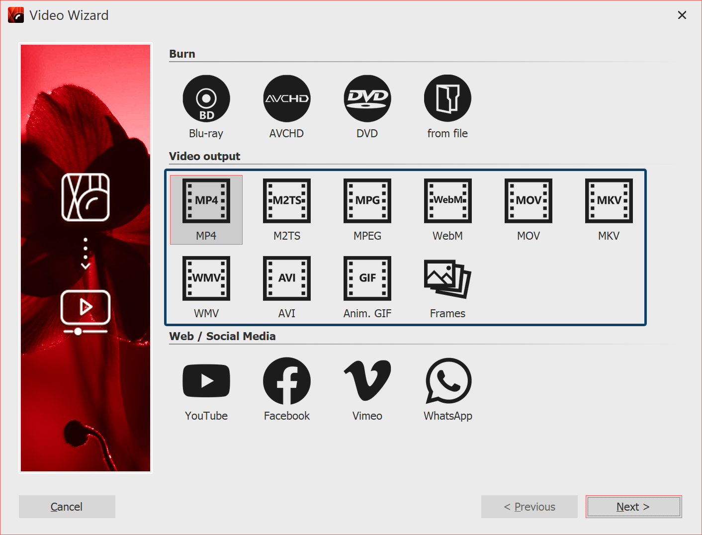 Video formats in the Video Wizard (Video Vision)